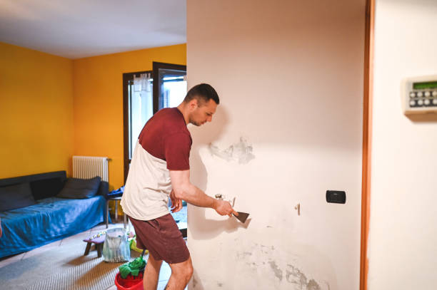 Best Bathroom Mold Remediation in Linn, MO